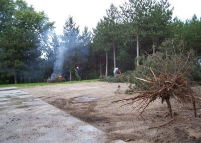 Tree Removal - AMO Outdoor Services
